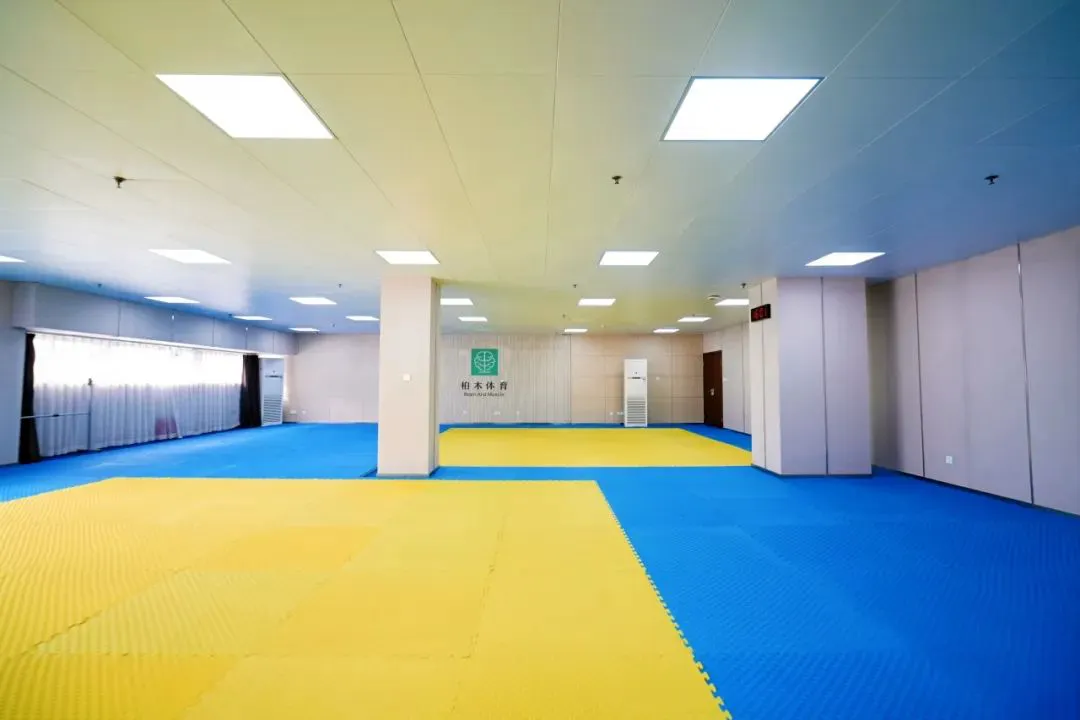 业余篮球选手如何通过试训提升技能_0